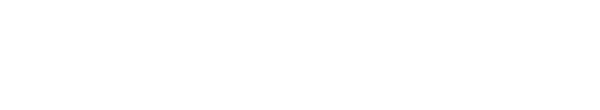 sawiday-wit